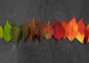 تغییر رفتار بعد از ازدواج