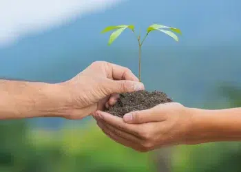 نقش مطلوب پدر در ازدواج فرزند