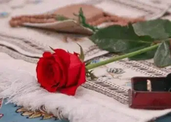 ازدواج انقلابی