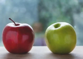 راهنمای جامع مدیریت اختلافات شخصیتی و خانوادگی در پیش ازدواج